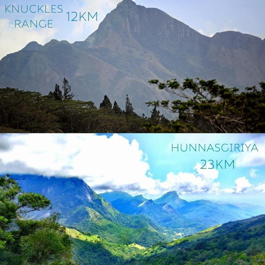 Huluganga Ridge, Kandy Karalliyadda Экстерьер фото